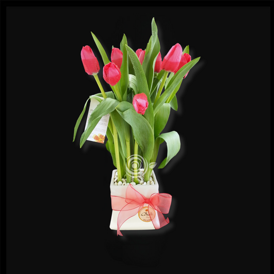 Tulipanes & Huayruros